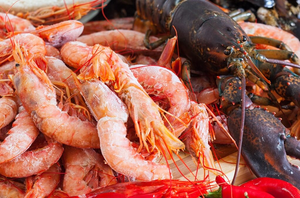 Restaurante marisco Vigo: Una delicatessen para estas fiestas.