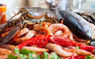 Restaurante marisco Vigo: El sabor del mar
