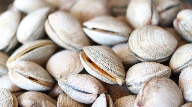 Restaurante marisco Vigo: Ideas para planificar una cena en 2020.