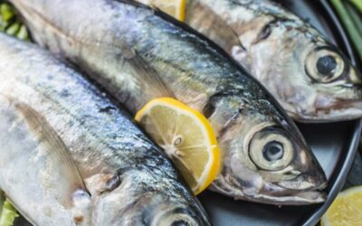 Restaurante pescado Vigo: Los mejores productos de la zona